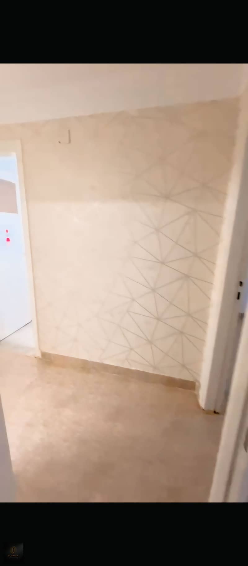 6 1000344516. jpg