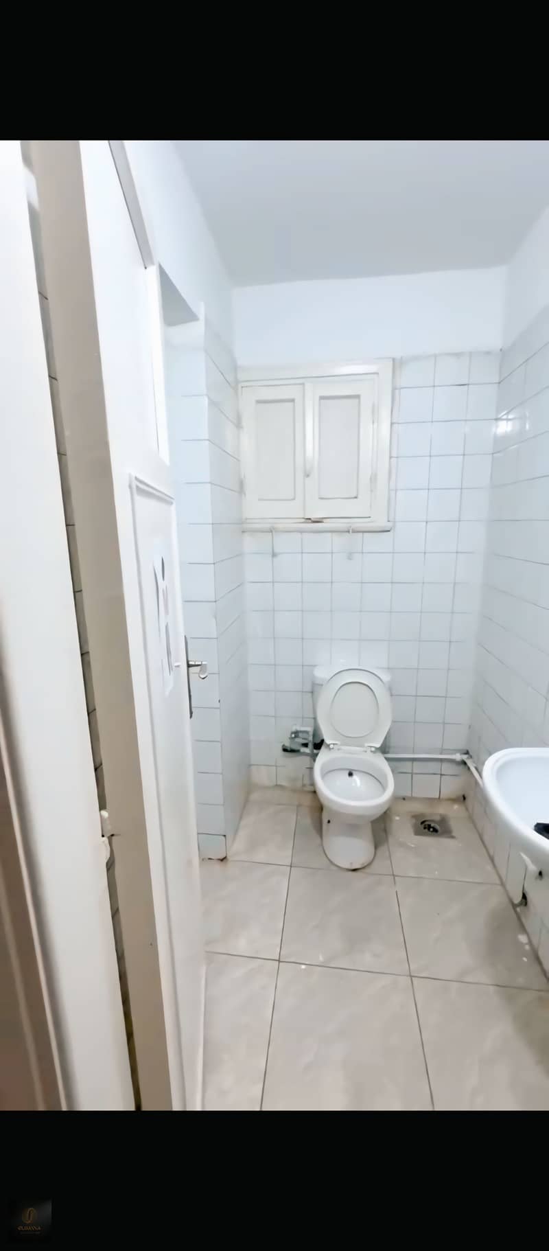 9 1000344526. jpg