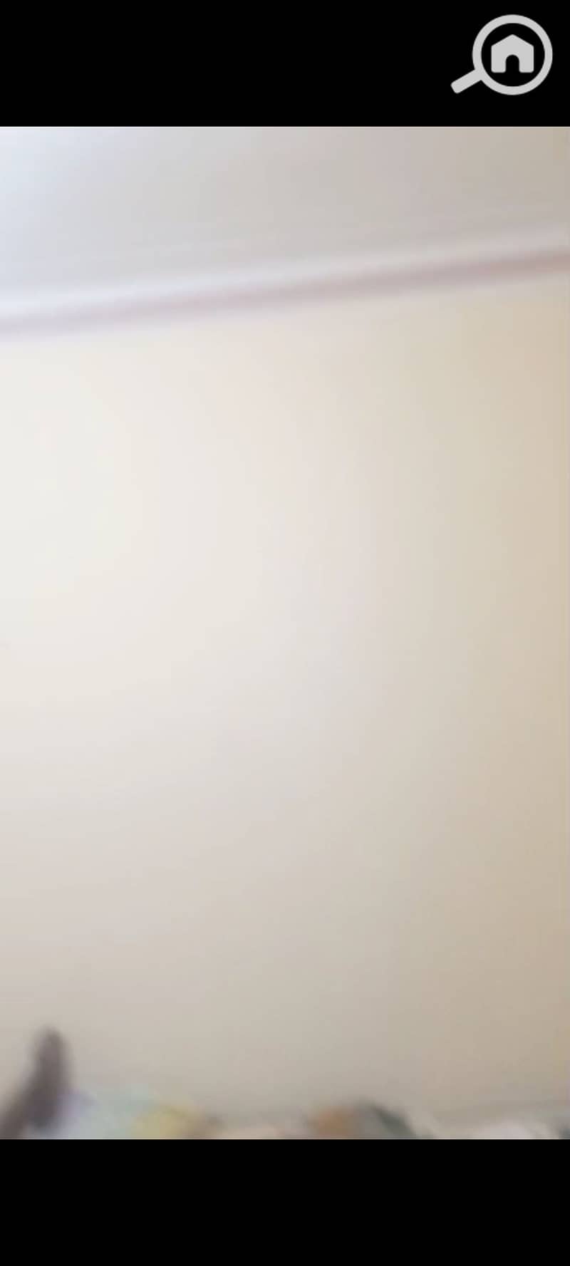 13 1000572956. jpg