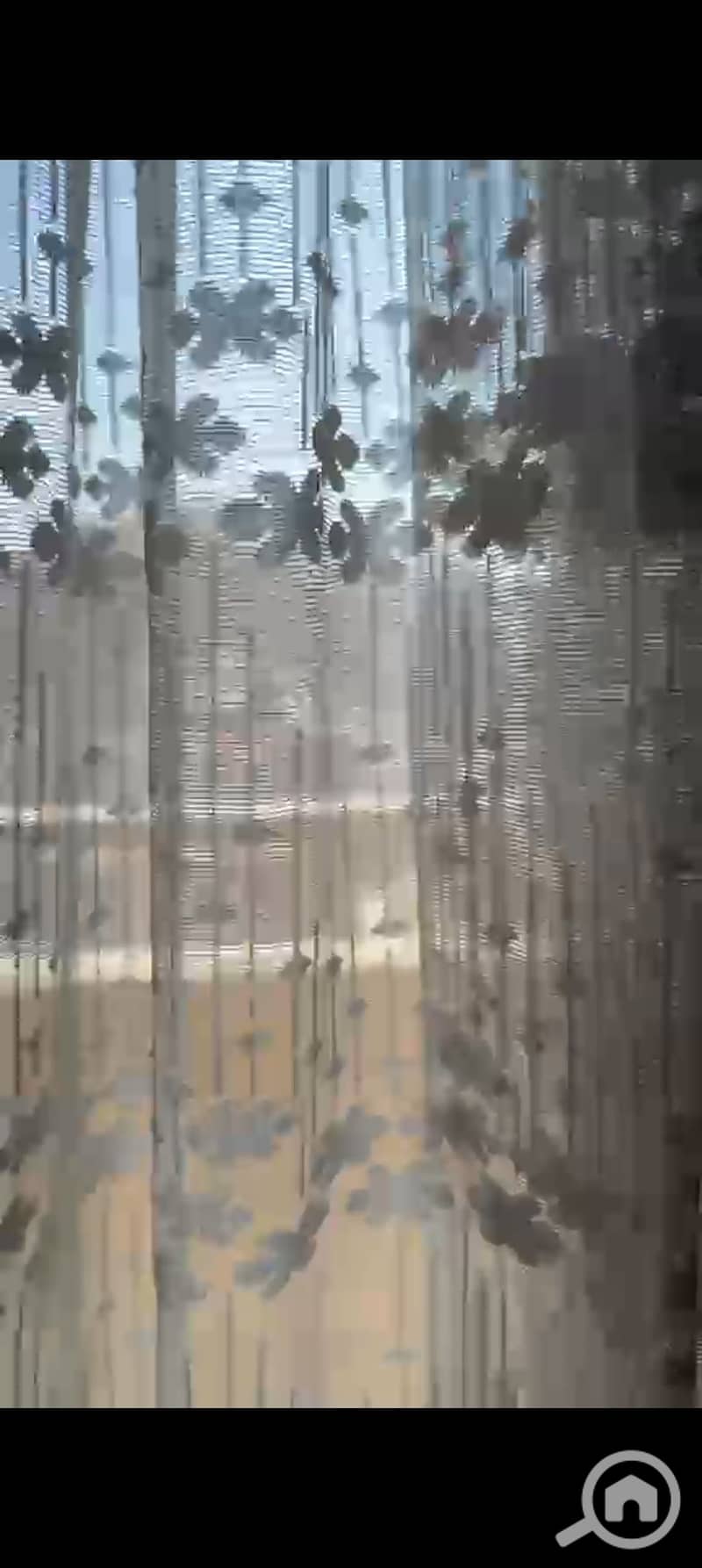29 1000550327. jpg