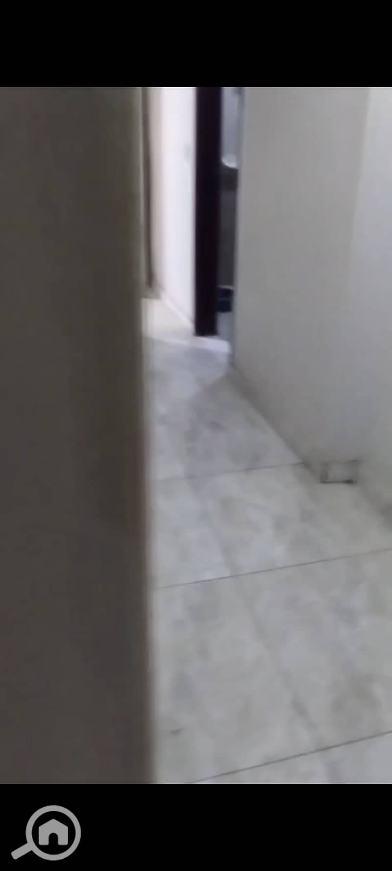 7 1000573372. jpg