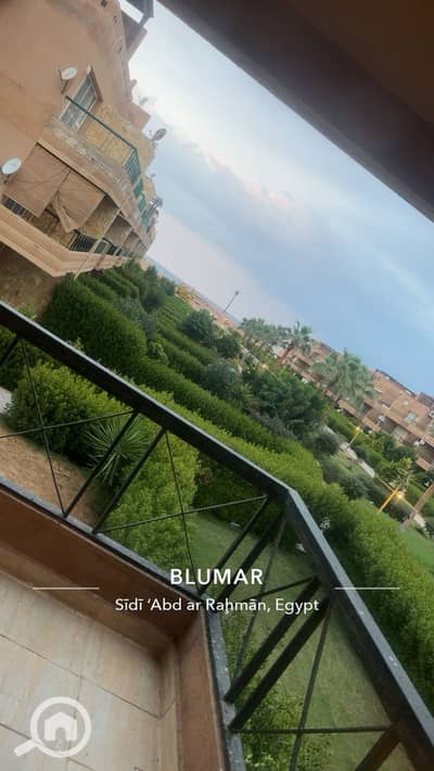 شاليه 2 غرفة نوم للبيع في الساحل الشمالي، مطروح - 1000215376. jpg شاليه 2 غرفة نوم للبيع في الساحل الشمالي، مطروح - 1000215376. jpg