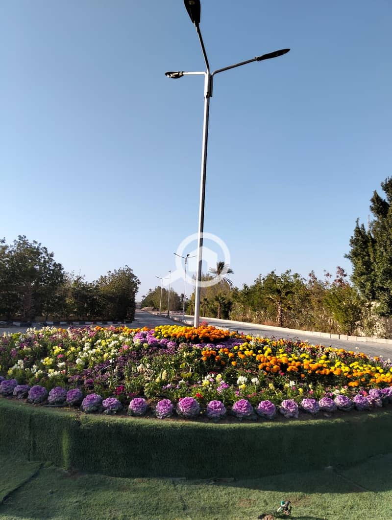 6 60496. jpg