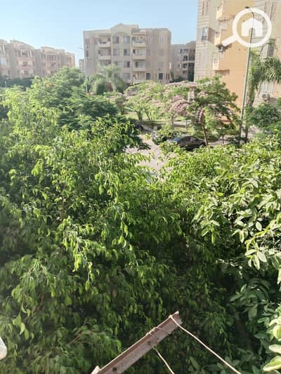 3 Bedroom Flat for Rent in Sheikh Zayed, Giza - 9da4d2d2-f5eb-4c98-a5ec-625706dadeab. jpg