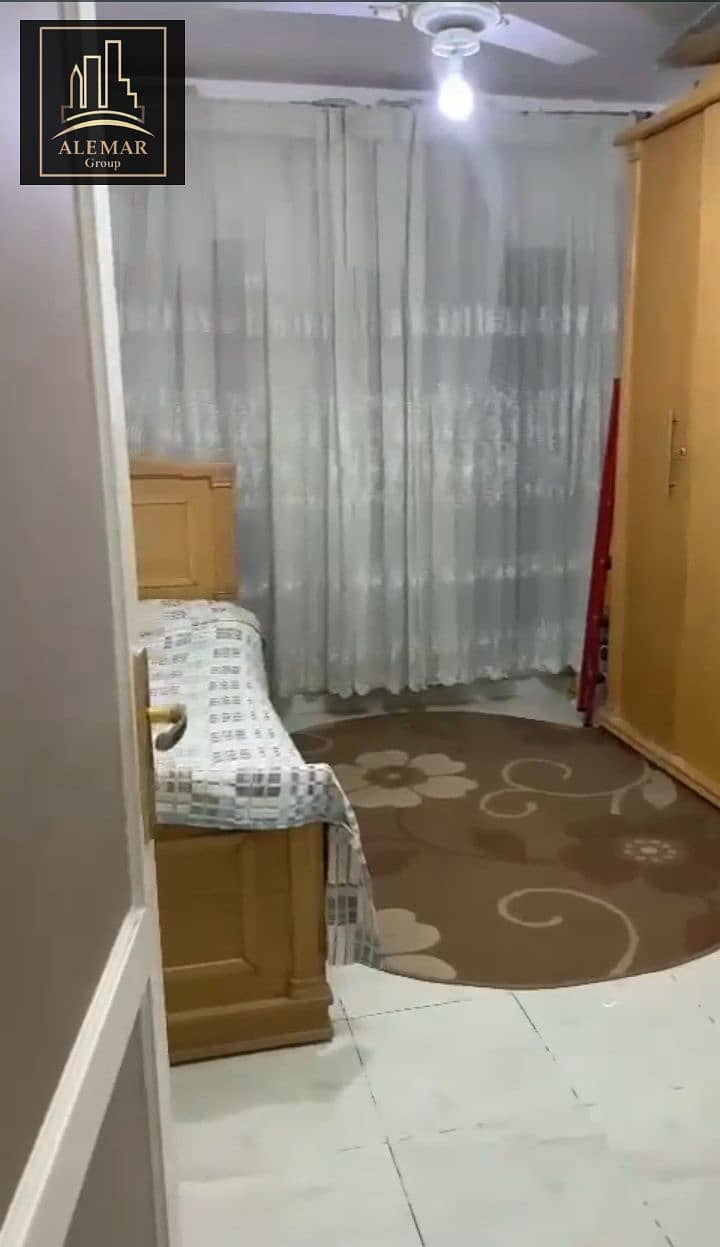 5 137715. jpg