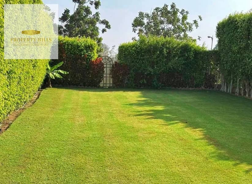 4 IMG_4964. jpeg