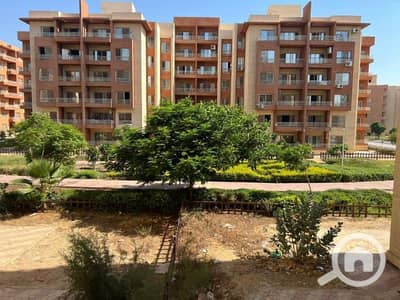 3 Bedroom Apartment for Rent in Shorouk City, Cairo - WhatsApp Image 2024-10-01 at 12.33. 16_3b24ea3a. jpg