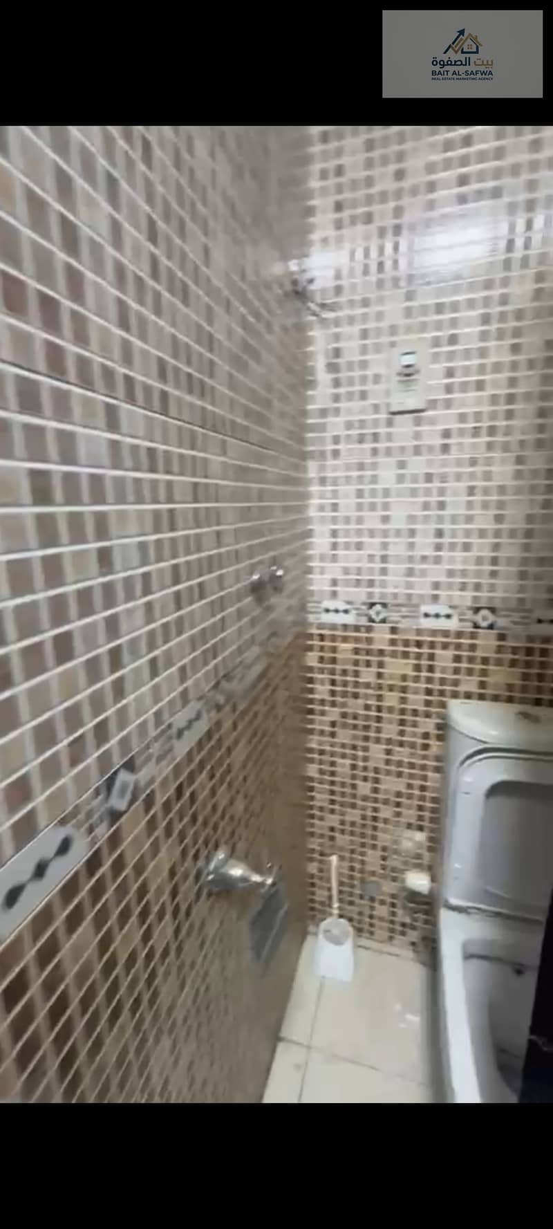 12 204596. jpg
