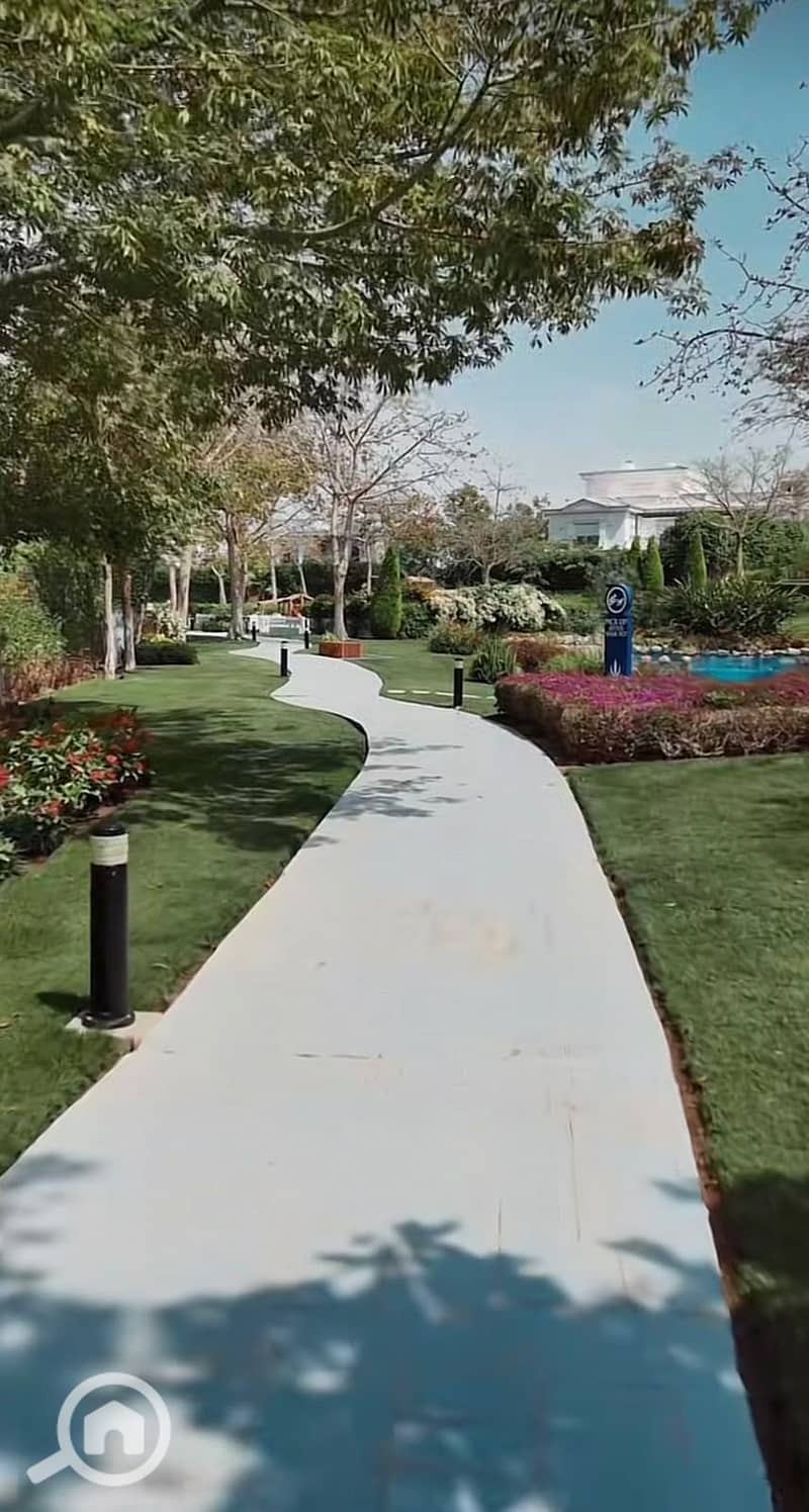 3 38166. jpg