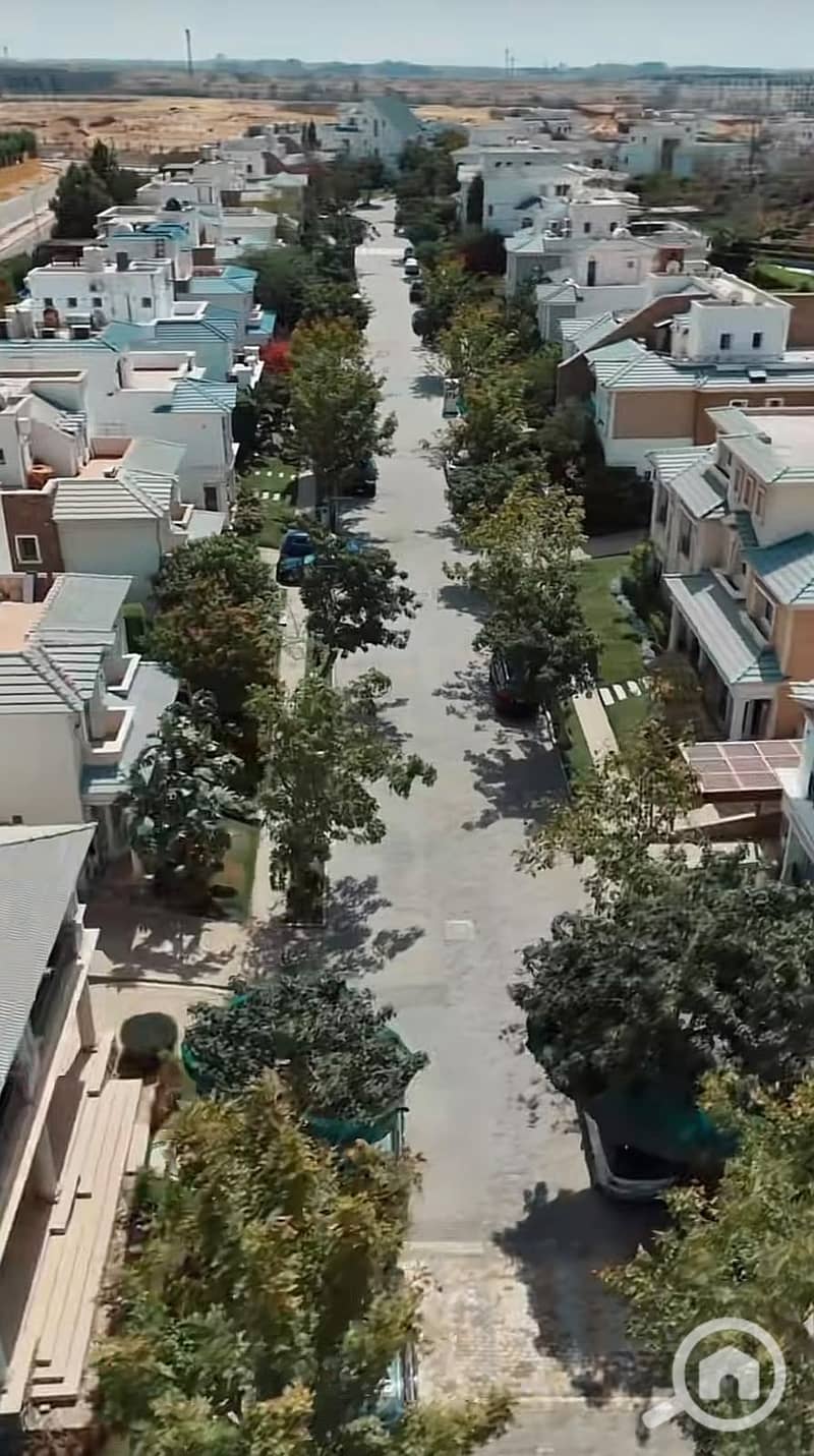 4 38167. jpg