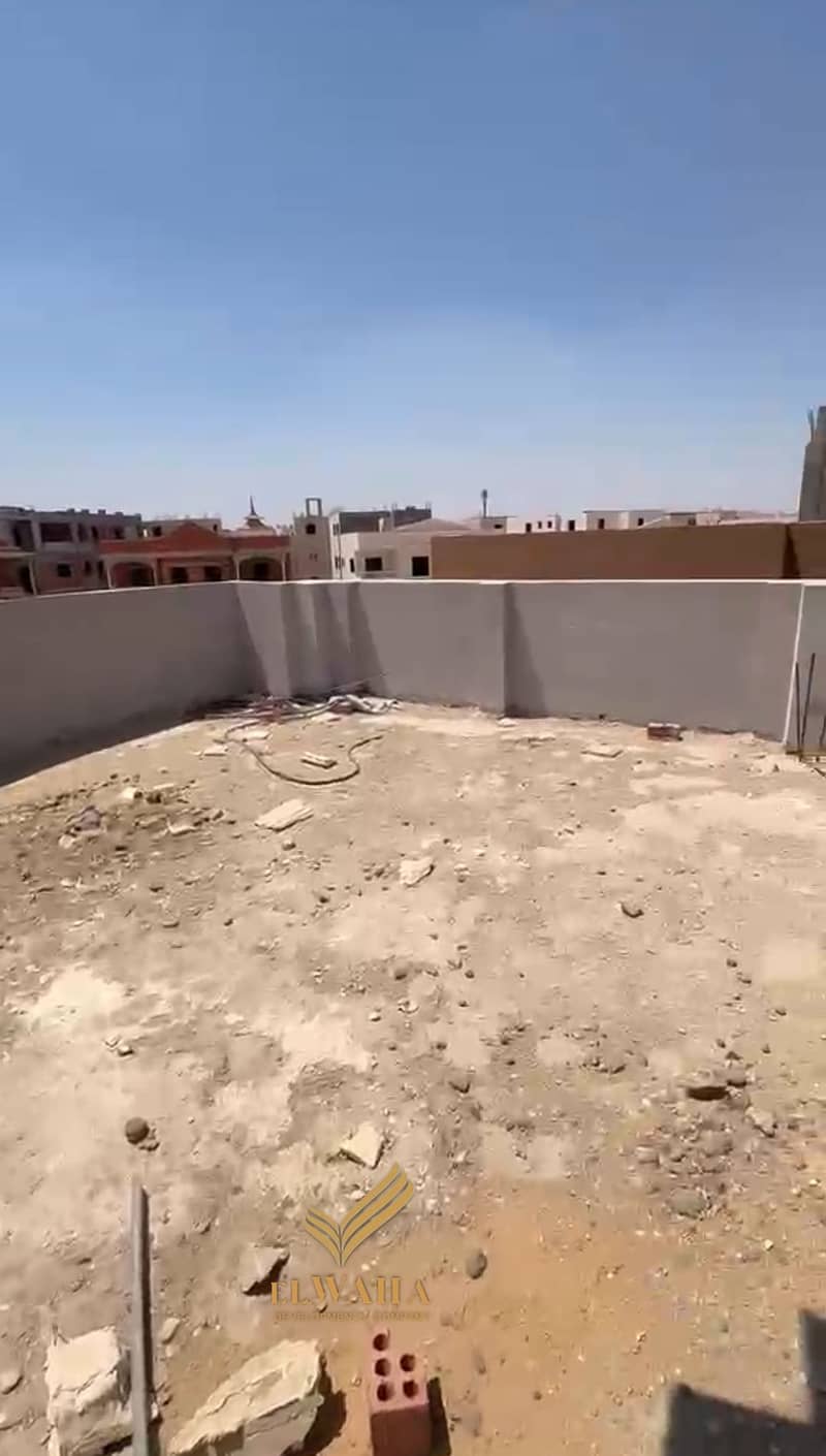 3 1000137262. jpg