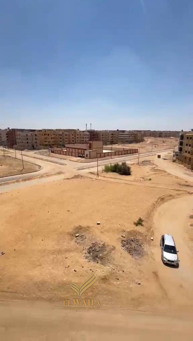 7 1000137265. jpg
