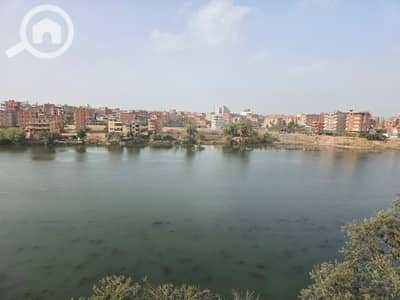 شقة 3 غرف نوم للبيع في المنصورة، الدقهلية - 56663. jpg شقة 3 غرف نوم للبيع في المنصورة، الدقهلية - 56663. jpg