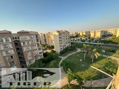 3 Bedroom Flat for Sale in Madinaty, Cairo - 182527. jpg 3 Bedroom Flat for Sale in Madinaty, Cairo - 182527. jpg