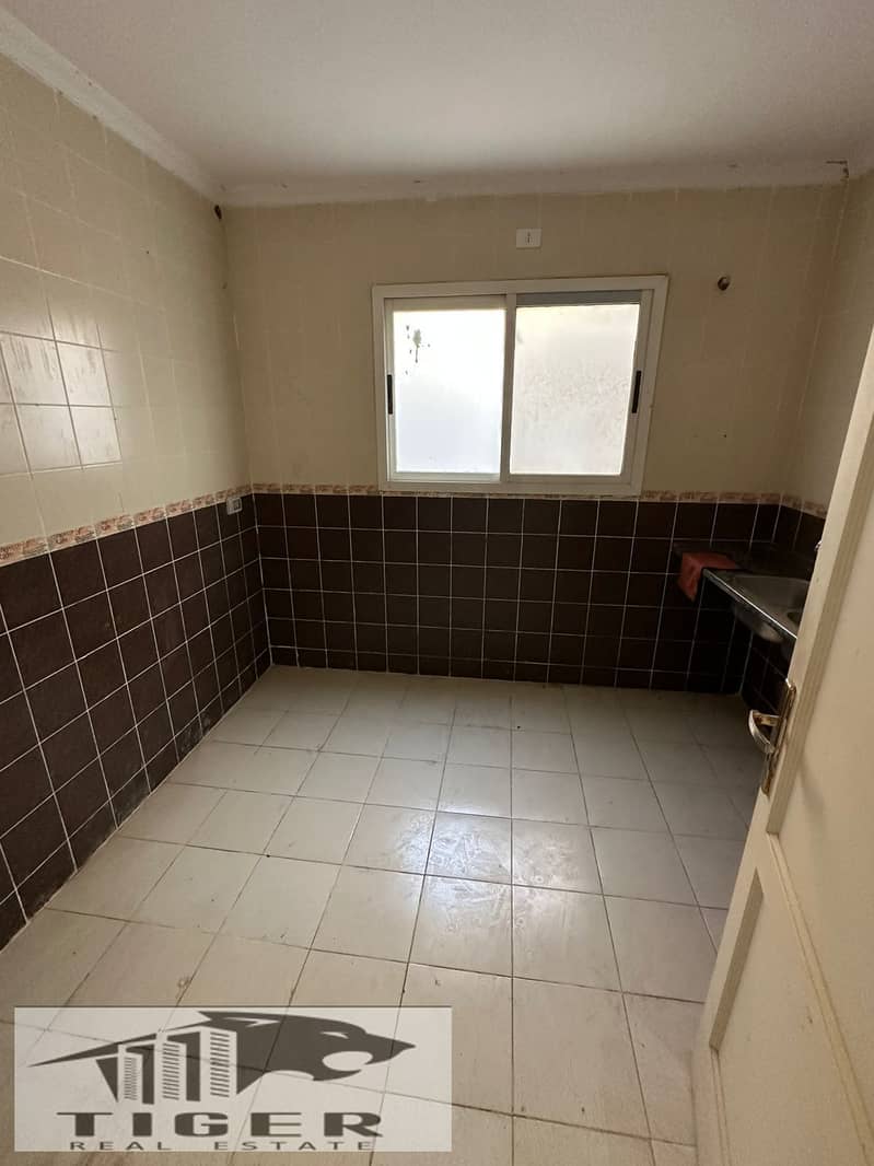 8 135073. jpg