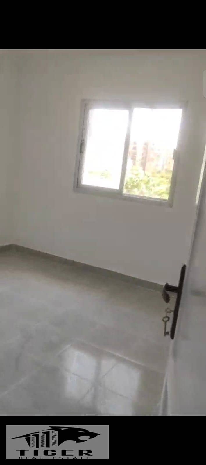 4 328645. jpg