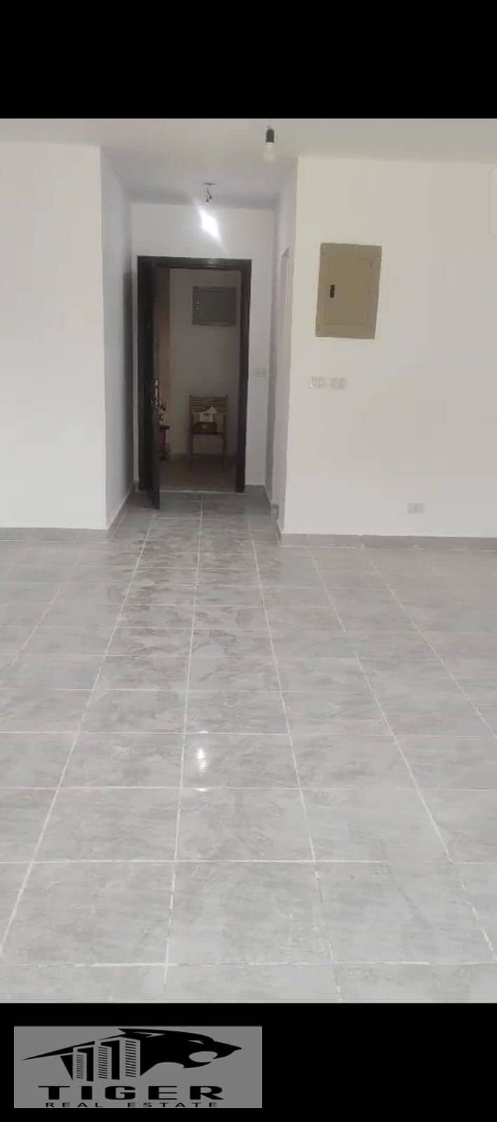 5 328643. jpg
