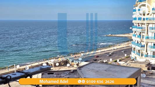 شقة 4 غرف نوم للبيع في كامب شيزار، الإسكندرية - 1. png شقة 4 غرف نوم للبيع في كامب شيزار، الإسكندرية - 1. png