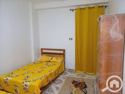 فلیٹ 3 غرف نوم للايجار في عجمي، الإسكندرية - 37039. jpg فلیٹ 3 غرف نوم للايجار في عجمي، الإسكندرية - 37039. jpg
