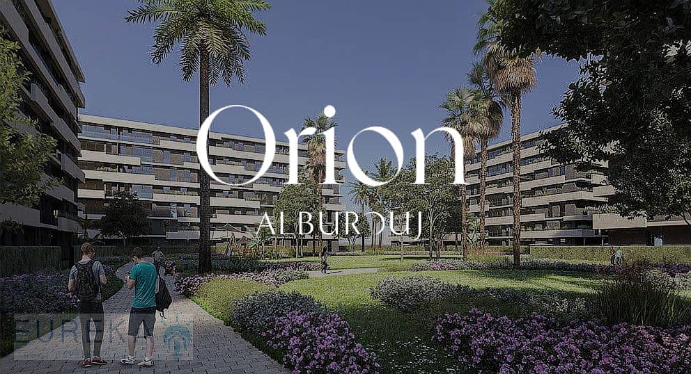 8 Orion. jpg