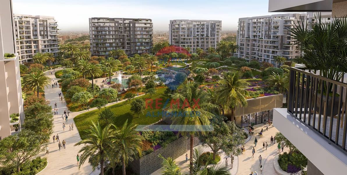 2 2-solana-new-zayed. jpg
