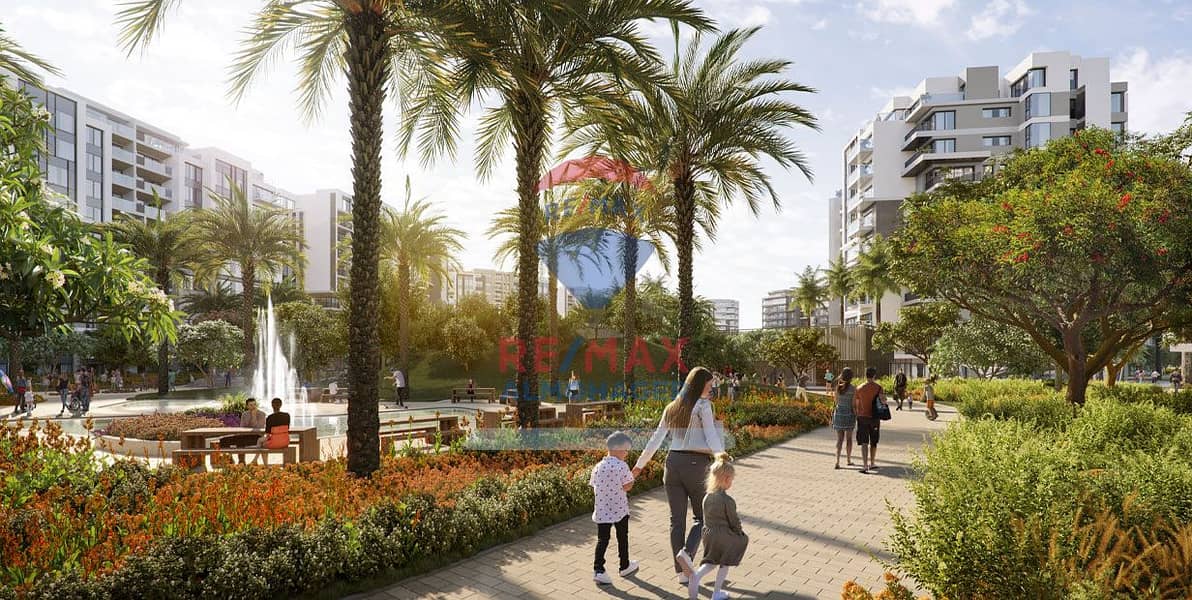 7 7-solana-new-zayed. jpg