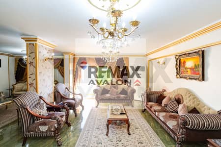 5 Bedroom Apartment for Rent in Sidi Gaber, Alexandria - 1. jpg 5 Bedroom Apartment for Rent in Sidi Gaber, Alexandria - 1. jpg