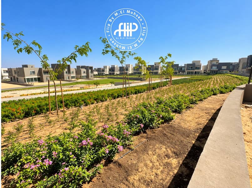 2 Sunny Modern Villa Neighborhood Landscape. png