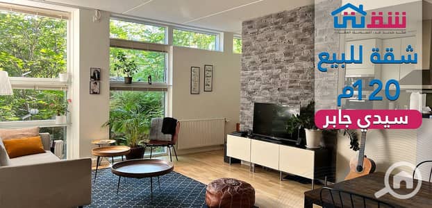 3 Bedroom Apartment for Sale in Sidi Gaber, Alexandria - DES. png