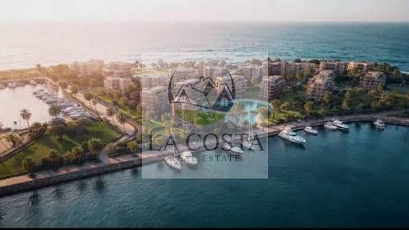 9 images (47). jpg
