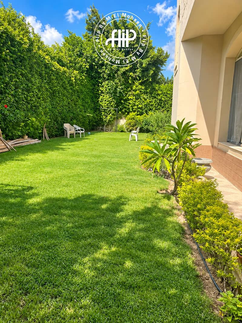 Sunlit Backyard Garden Retreat. png Sunlit Backyard Garden Retreat. png
