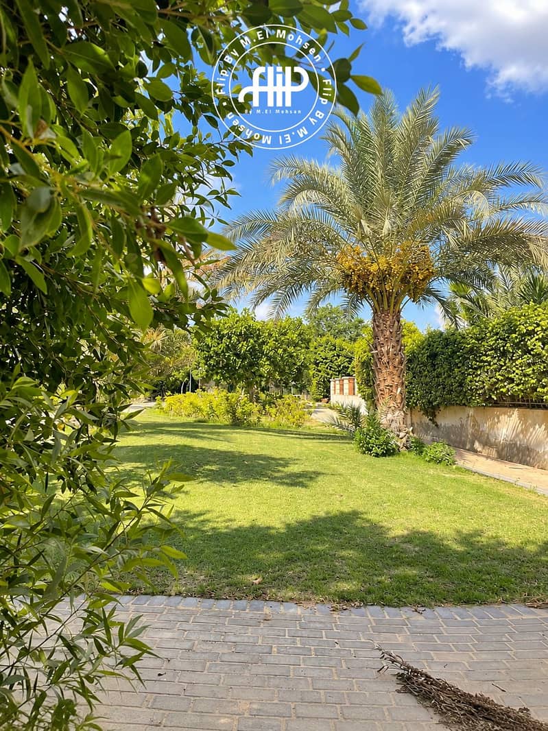 2 Sunny Palm-Lined Garden Retreat. png