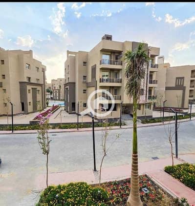 فلیٹ 4 غرف نوم للبيع في القاهرة الجديدة، القاهرة - 9c3a1e50-42ec-4fc7-90b1-be1bf9cec882. jpeg فلیٹ 4 غرف نوم للبيع في القاهرة الجديدة، القاهرة - 9c3a1e50-42ec-4fc7-90b1-be1bf9cec882. jpeg