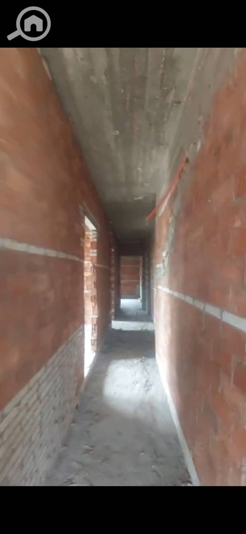 5 1001485440. jpg