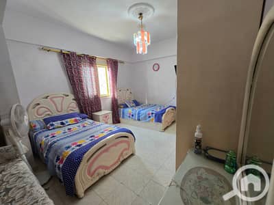 3 Bedroom Apartment for Rent in Smoha, Alexandria - 20261026_161942. jpg