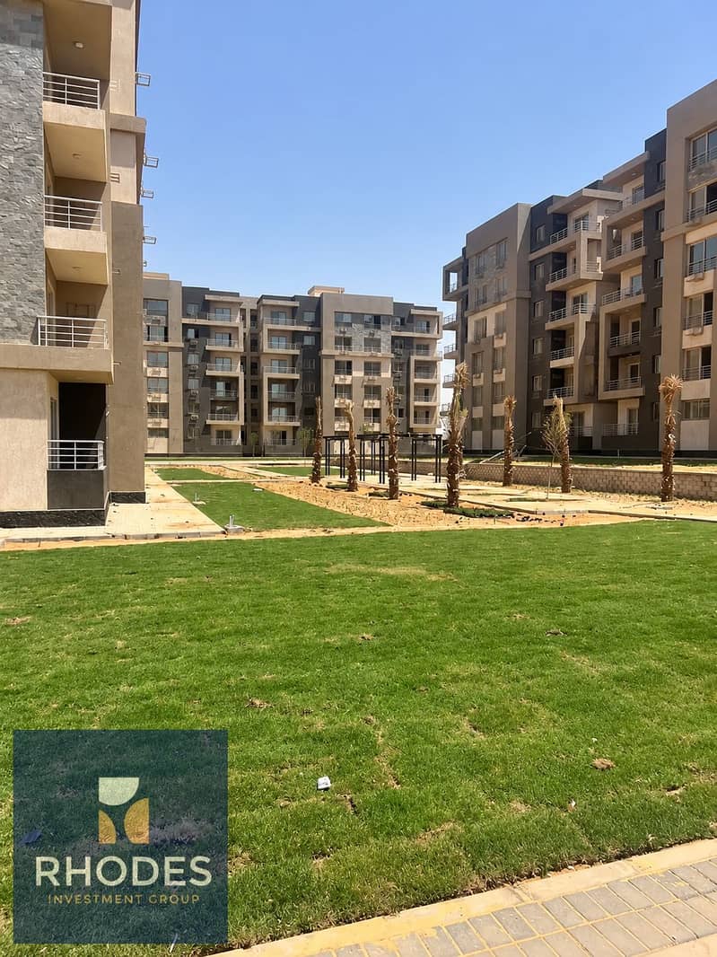 9 Modern Apartment Courtyard with Young Palms. png