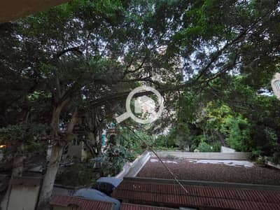 فلیٹ 4 غرف نوم للبيع في رشدي، الإسكندرية - 20261020_182149. jpg فلیٹ 4 غرف نوم للبيع في رشدي، الإسكندرية - 20261020_182149. jpg