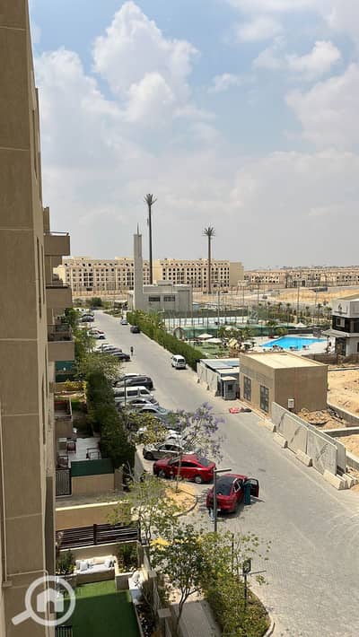 3 Bedroom Apartment for Rent in New Cairo, Cairo - 1001447034. jpg 3 Bedroom Apartment for Rent in New Cairo, Cairo - 1001447034. jpg