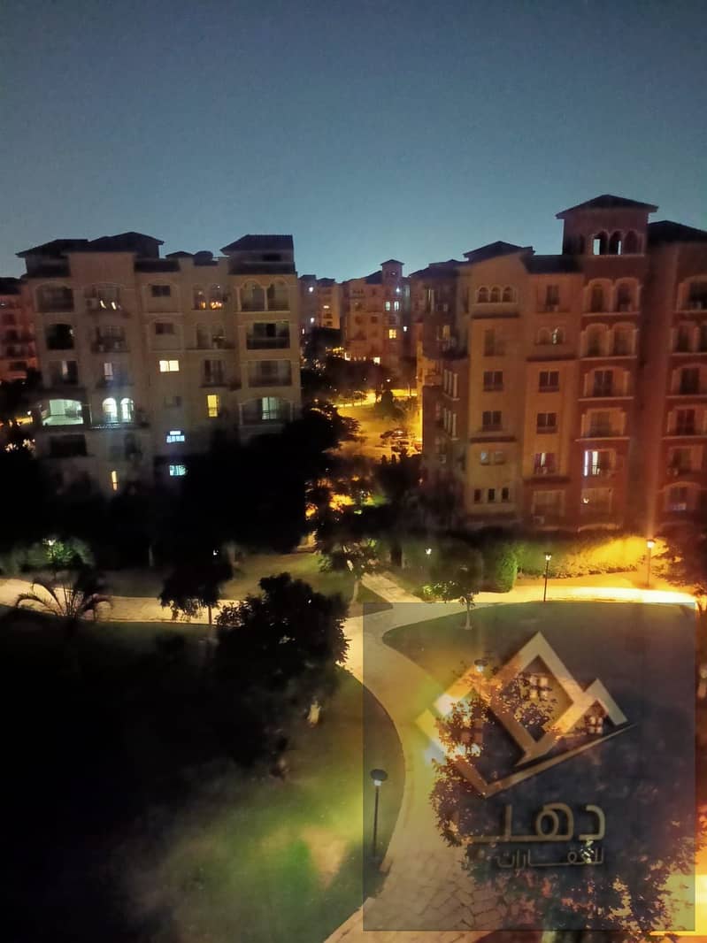 3 602514. jpg