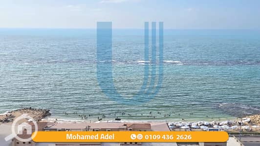 2 Bedroom Apartment for Sale in Asafra, Alexandria - 1. png 2 Bedroom Apartment for Sale in Asafra, Alexandria - 1. png
