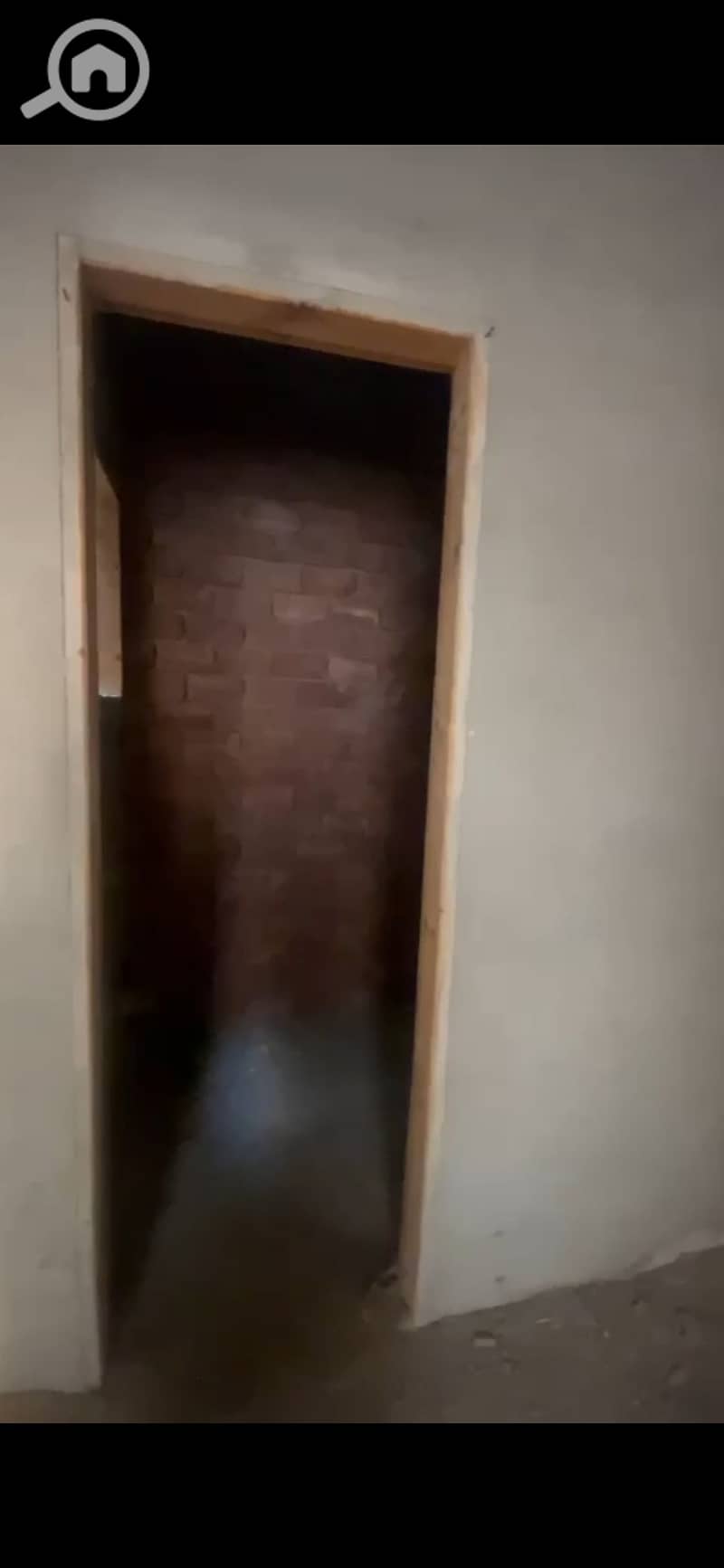 4 49725. jpg