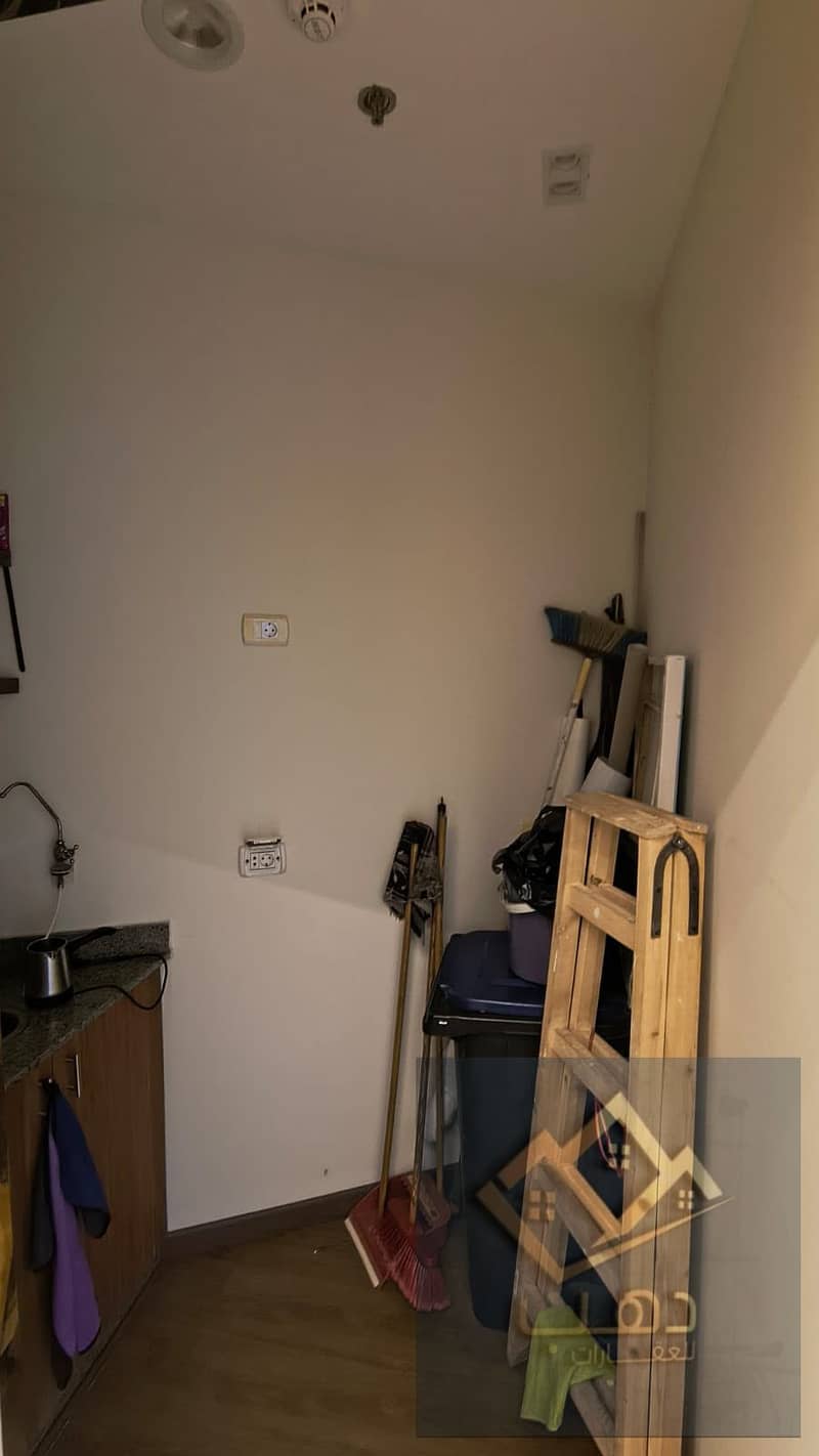 3 602555. jpg
