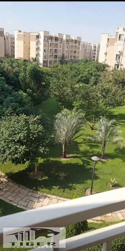 2 Bedroom Apartment for Rent in Madinaty, Cairo - 184434. jpg 2 Bedroom Apartment for Rent in Madinaty, Cairo - 184434. jpg
