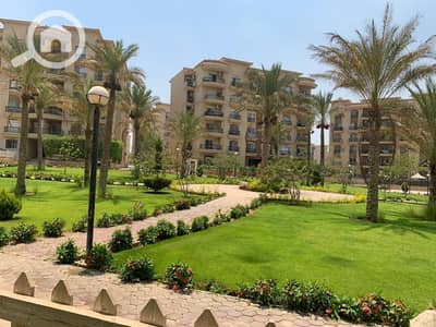 3 Bedroom Flat for Rent in New Cairo, Cairo - 384101828_709476660996108_7926501157340088995_n. jpg