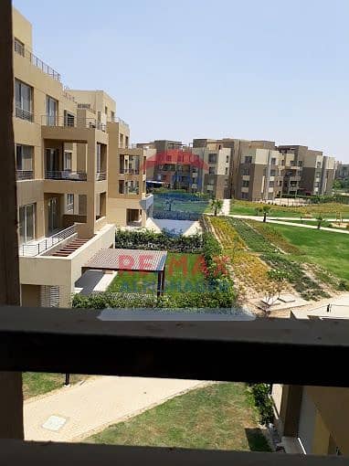 5 2020-08-10. jpg