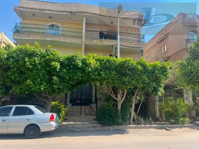 3 Bedroom Apartment for Sale in New Cairo, Cairo - b41e7969-4be8-4f68-9fa0-3daf32be92c3. jpeg 3 Bedroom Apartment for Sale in New Cairo, Cairo - b41e7969-4be8-4f68-9fa0-3daf32be92c3. jpeg