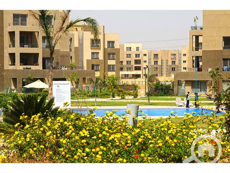 7 Palm Parks 1. jpg