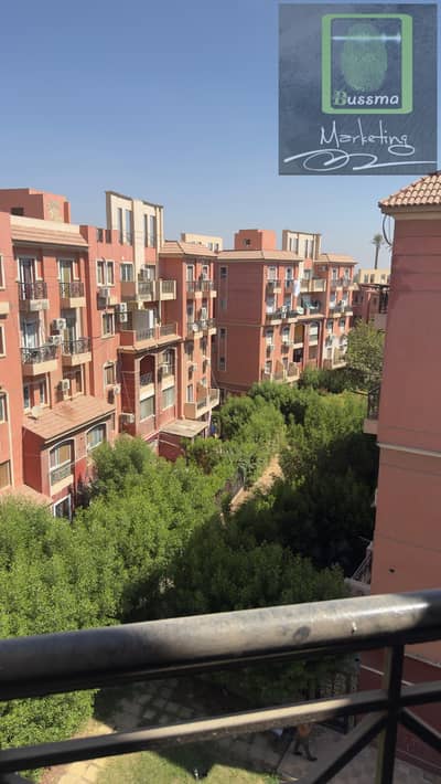 2 Bedroom Flat for Rent in Sheikh Zayed, Giza - 1000498241. jpg