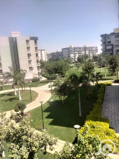 3 Bedroom Apartment for Sale in Madinaty, Cairo - 9740c163-f95a-45bd-95a7-e4f529dc8668. jpg 3 Bedroom Apartment for Sale in Madinaty, Cairo - 9740c163-f95a-45bd-95a7-e4f529dc8668. jpg
