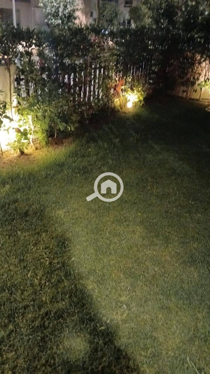 6 15520. jpg